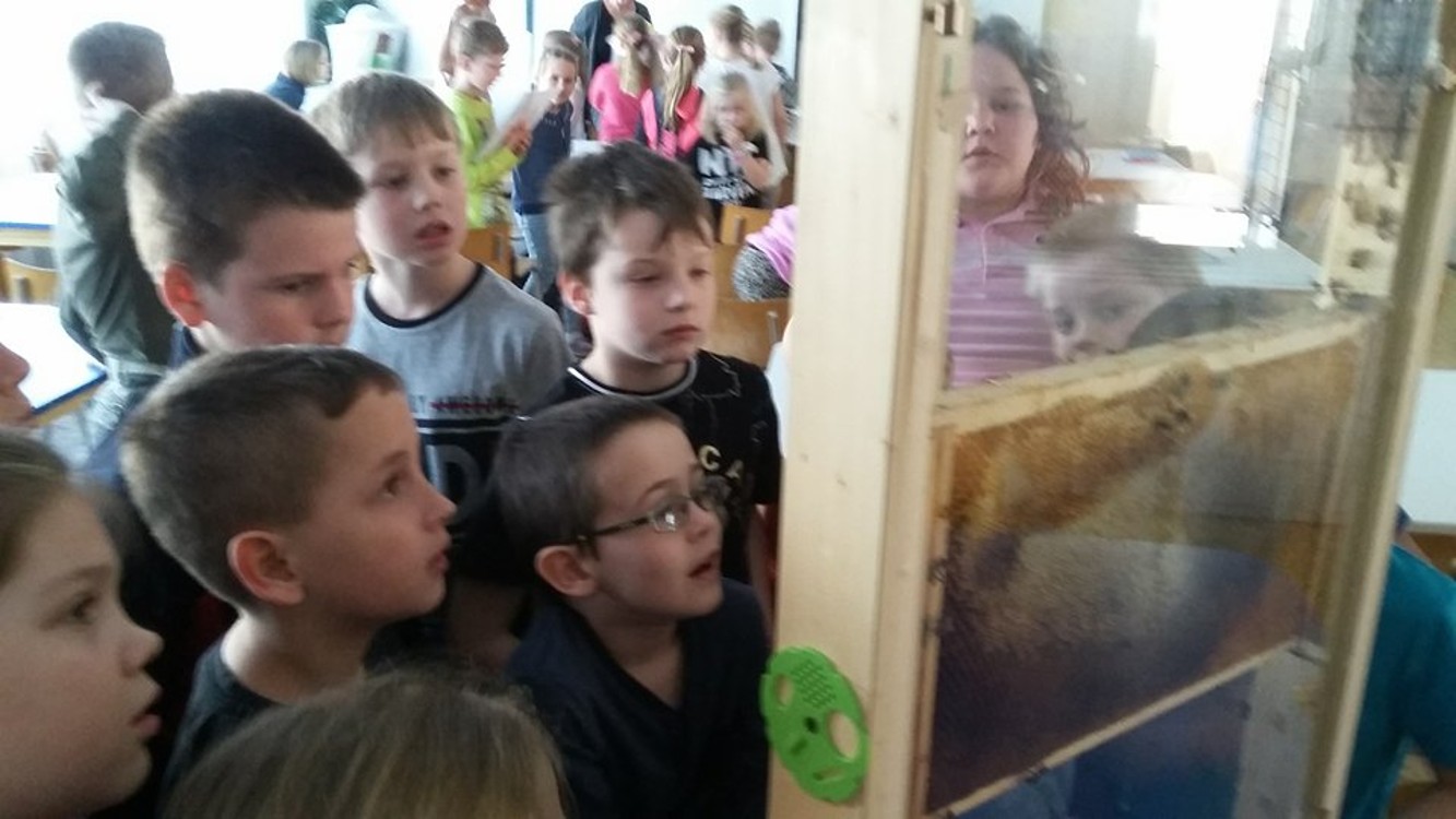 30184531_10208360603051049_919539935_n